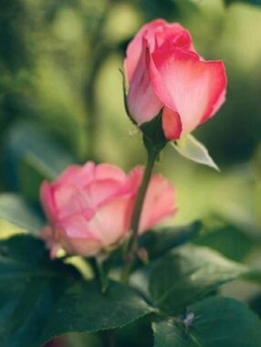 "Closet Closing " Everthing Must Go!⏰️🛍